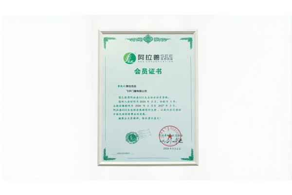 2026设计师推荐的节能门窗十大品牌排行榜单